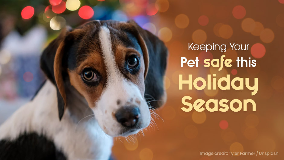 Keeping Your Pet Safe This Holiday Season