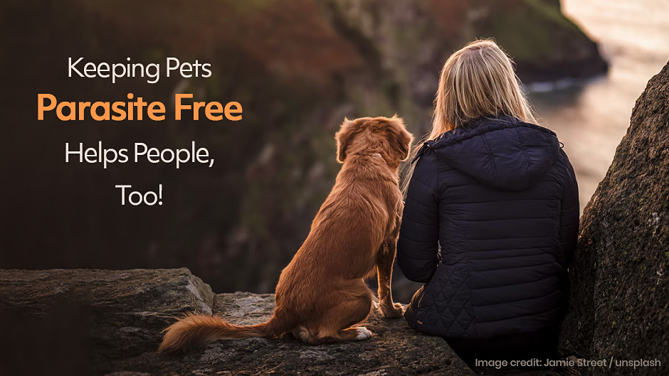Keeping Pets Parasite Free Helps People, Too!
