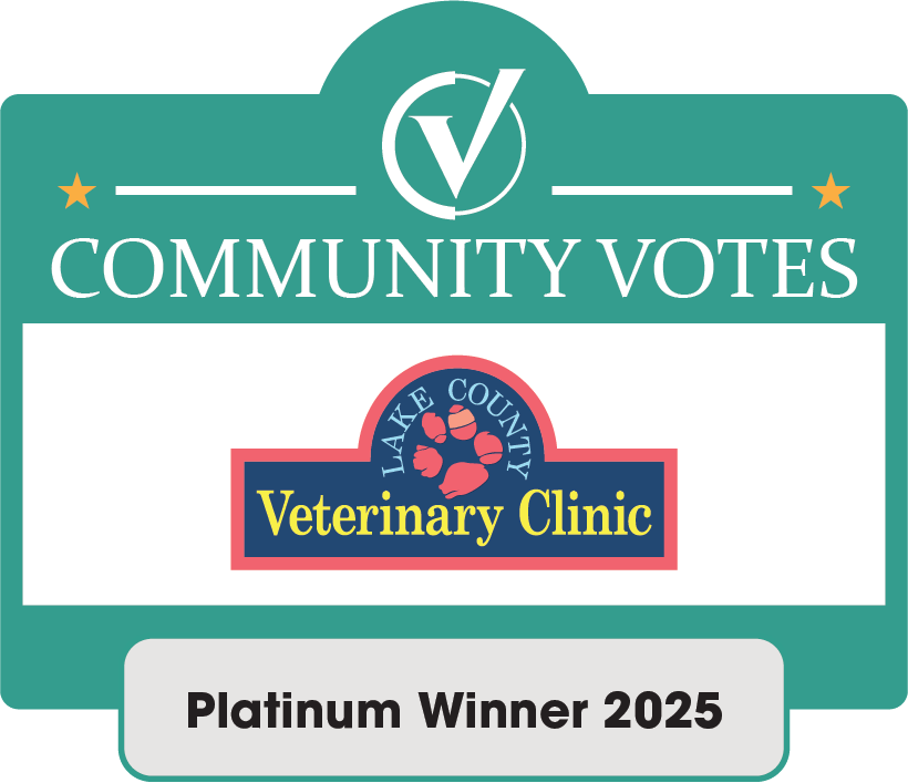 Platinum Winner 2025